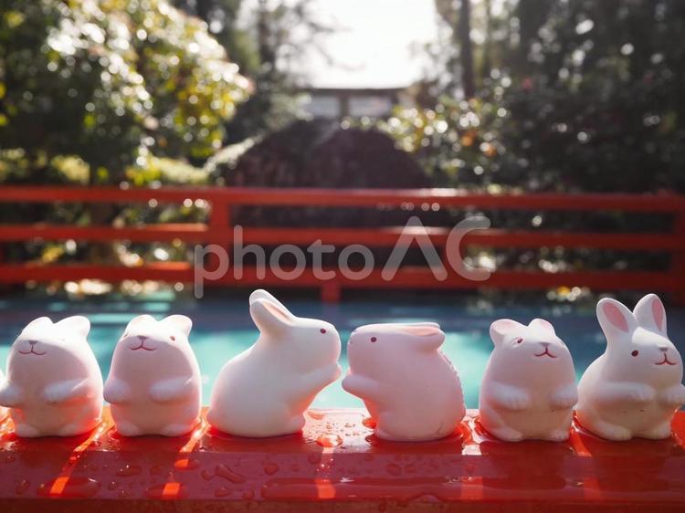 うさぎ神社 岡崎神社,うさぎ神社,うさぎの写真素材