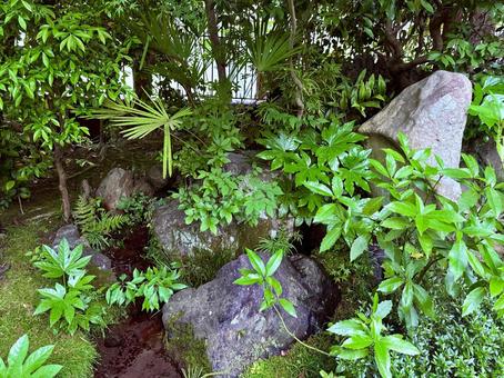 日本庭園にある人工川 日本庭園にある人工川の写真