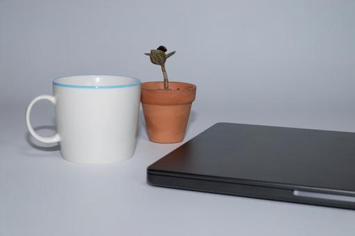 マグカップと植木鉢と閉じられたノートPC ノートパソコン,コピースペース,マグカップの写真素材