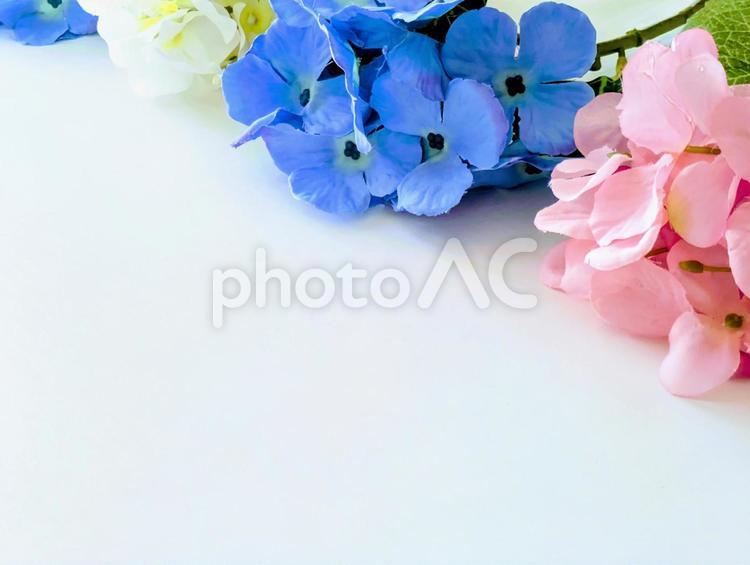 背景素材（梅雨イメージ）紫陽花1 梅雨,梅雨入り,6月の写真素材