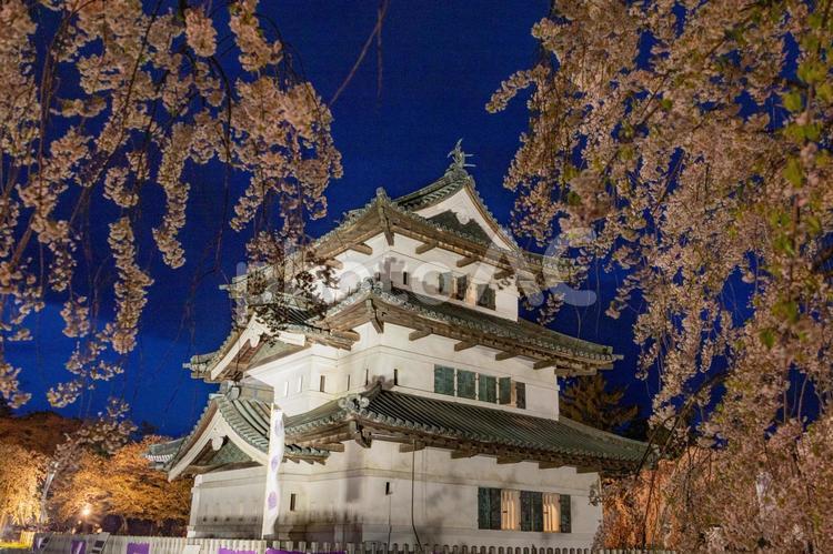 弘前城ライトアップと夜桜2 弘前城,弘前城公園,公園の写真素材