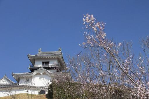 掛川城 掛川城,天守閣,天守の写真素材