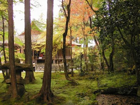 京都　大原 京都市,左京区,秋の写真素材