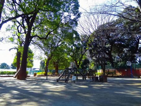 六義公園の広場 六義公園,文京区,風景の写真素材
