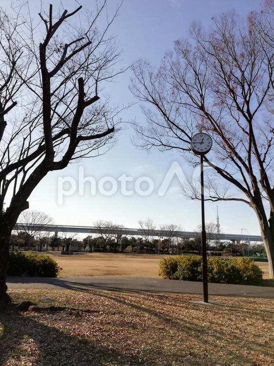 公園の大きな時計 公園,秋,秋空の写真素材
