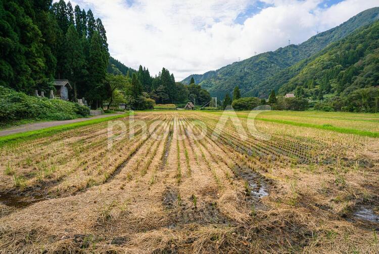 世界遺産五箇山菅沼集落の合掌造り 富山,秋,秋色の写真素材