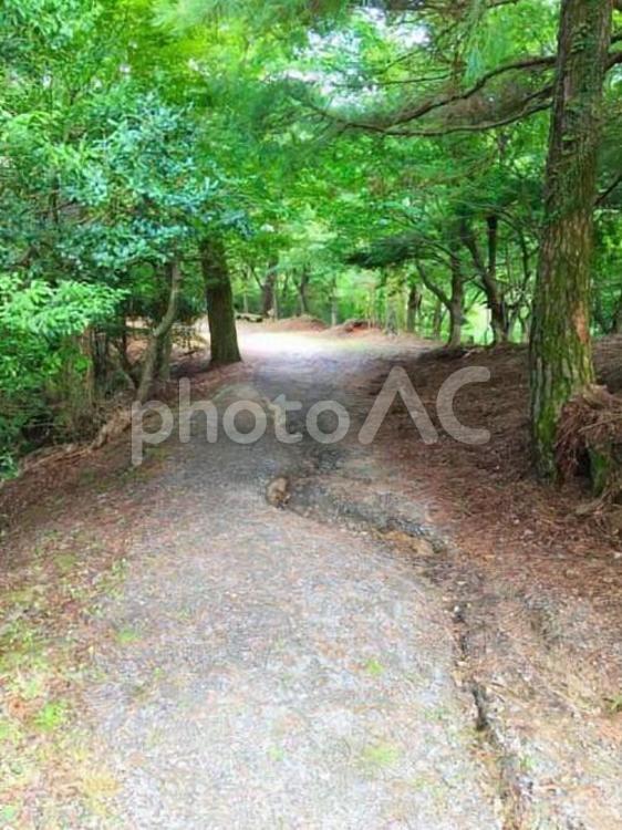 マイナスイオン マイナスイオン,自然,助言の写真素材