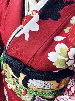 成人式の着物 成人式,振袖,着物の写真素材