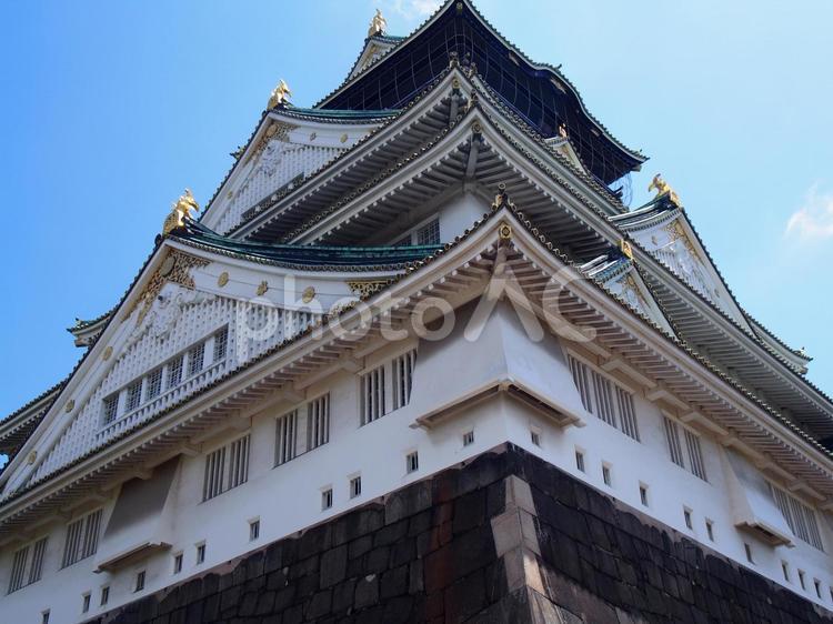 大阪城を見上げる 風景,景色,大阪城の写真素材