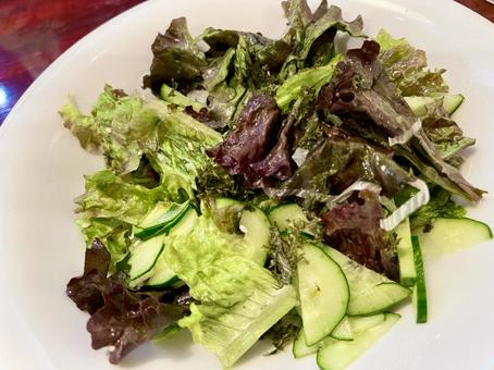 サニーレタスと胡瓜のサラダ サニーレタスと胡瓜のサラダの写真