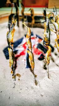 鮎の塩焼き 鮎の塩焼き 鮎,囲炉裏,囲炉裏端の写真素材