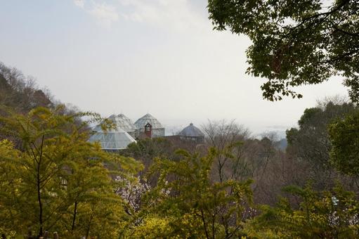 霞の中に浮かび上がるガラスのドーム 霧,自然,秋の写真素材