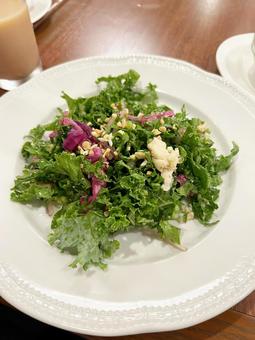 ケールのサラダ ヘルシー,健康,紫キャベツの写真素材