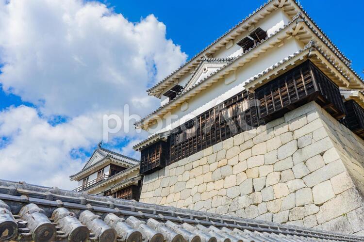 松山城の風景 松山市,松山城,愛媛県の写真素材