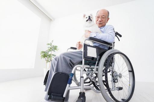 犬を飼う車椅子に乗った高齢の男性 犬を飼う車椅子に乗った高齢の男性 孫,犬種,自宅の写真素材