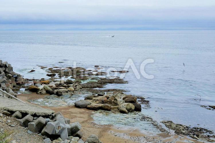 北海道知床半島羅臼の瀬石温泉 知床半島,羅臼,根室海峡の写真素材