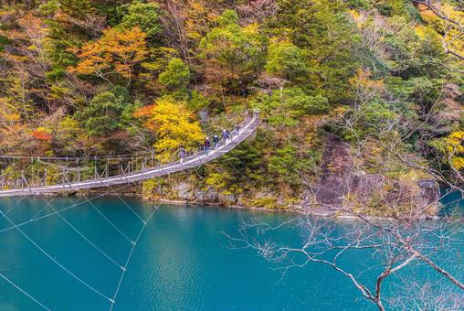 静岡県　寸又峡の夢の吊橋・秋景色 寸又峡,紅葉,風景の写真素材