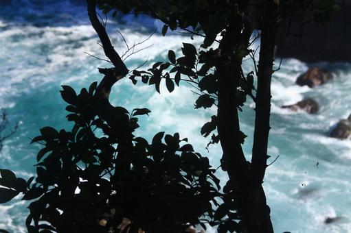 城ヶ崎海岸の小道を散策 城ヶ崎海岸,小道,散策の写真素材