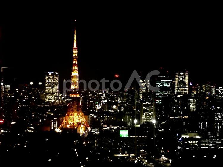 世界貿易センタービルの展望台からの夜景 夜景,東京タワー,都市の写真素材