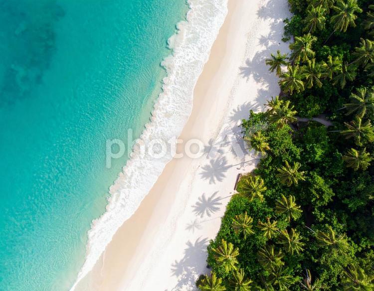 エメラルドグリーンの海と白い砂浜 海,ビーチ,白浜の写真素材