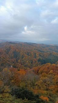 魚沼スカイラインの紅葉 紅葉,山,樹の写真素材