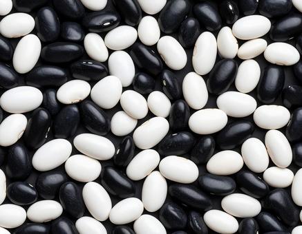 黒豆と白豆の対比 黒豆と白豆の対比の写真