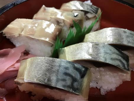 バッテラ バッテラの写真