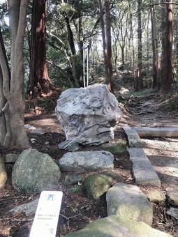 森 森の写真