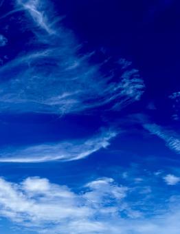雲の消し残し 雲の消し残し 青空,空,雲の写真素材