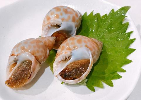 味付けバイ貝 味付けバイ貝,バイ貝,貝の写真素材