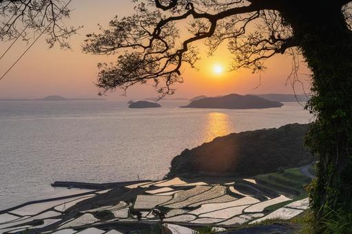 佐賀-【土谷棚田の夕景】 佐賀-【土谷棚田の夕景】 佐賀県,佐賀,松浦市の写真素材