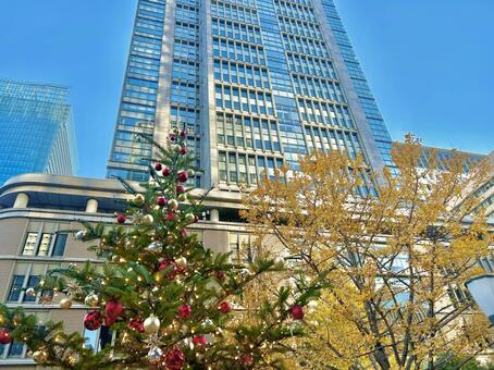 イチョウとクリスマスツリーとビル 光,輝き,きれいの写真素材