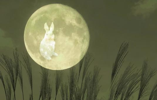 秋イメージ素材/十五夜お月様・月うさぎ 秋イメージ素材/十五夜お月様・月うさぎの写真