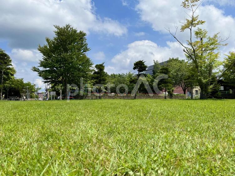 夏の青空と公園の風景 夏,公園,青空の写真素材
