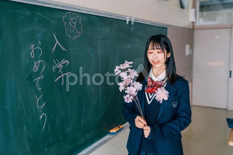 教室で桜の花を見つめる新入生 女性,女子高生,高校生の写真素材