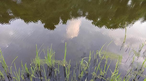 水辺の風景5 水辺の風景5の写真