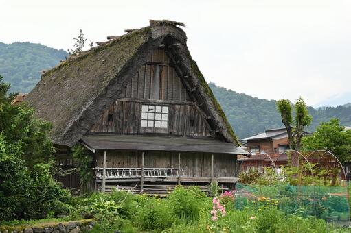 白川郷１０２藁葺き屋根　 白川郷,世界遺産,瓦葺き屋根の写真素材