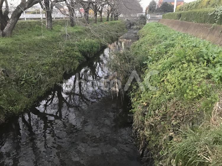田舎の用水路 水域,自然,風景の写真素材