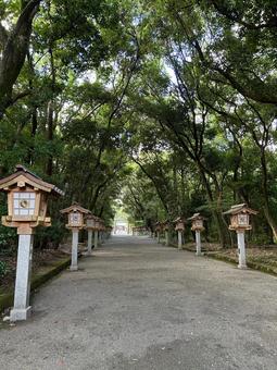 宮崎神宮 宮崎神宮の写真