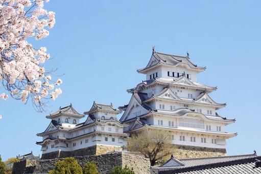 姫路城天守閣 姫路城,国宝,世界遺産の写真素材