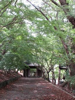 徳島県-丈六寺-二の門と参道 徳島県-丈六寺-二の門と参道の写真