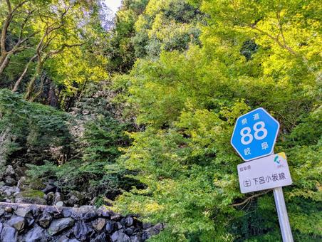 深緑の県道88号線~道路標識のある風景~ 深緑の県道88号線~道路標識のある風景~の写真