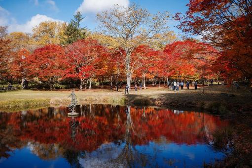 北海道の紅葉 北海道の紅葉の写真