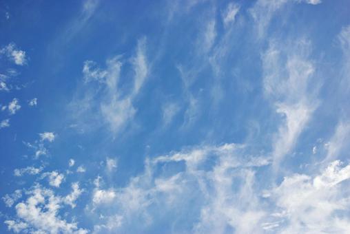夏空 夏空の写真