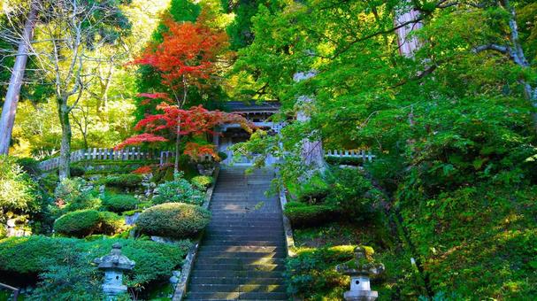 紅葉の永平寺:24 紅葉の永平寺:24 永平寺,紅葉,もみじの写真素材