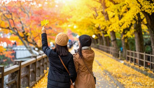 紅葉狩り 紅葉を楽しむ女性たち 紅葉狩り 紅葉を楽しむ女性たちの写真