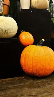 かぼちゃ かぼちゃ,ハロウィン,収穫祭の写真素材