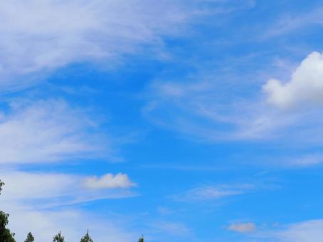 夏空と白い雲 夏空と白い雲の写真