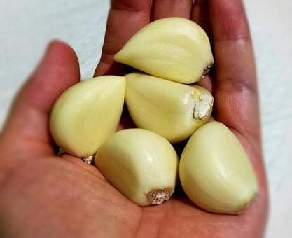 にんにく 1片 手のひら にんにく 1片 手のひら にんにく,大蒜,1片の写真素材