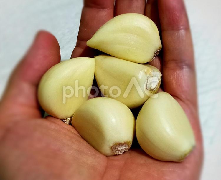 にんにく　1片　手のひら にんにく,大蒜,1片の写真素材